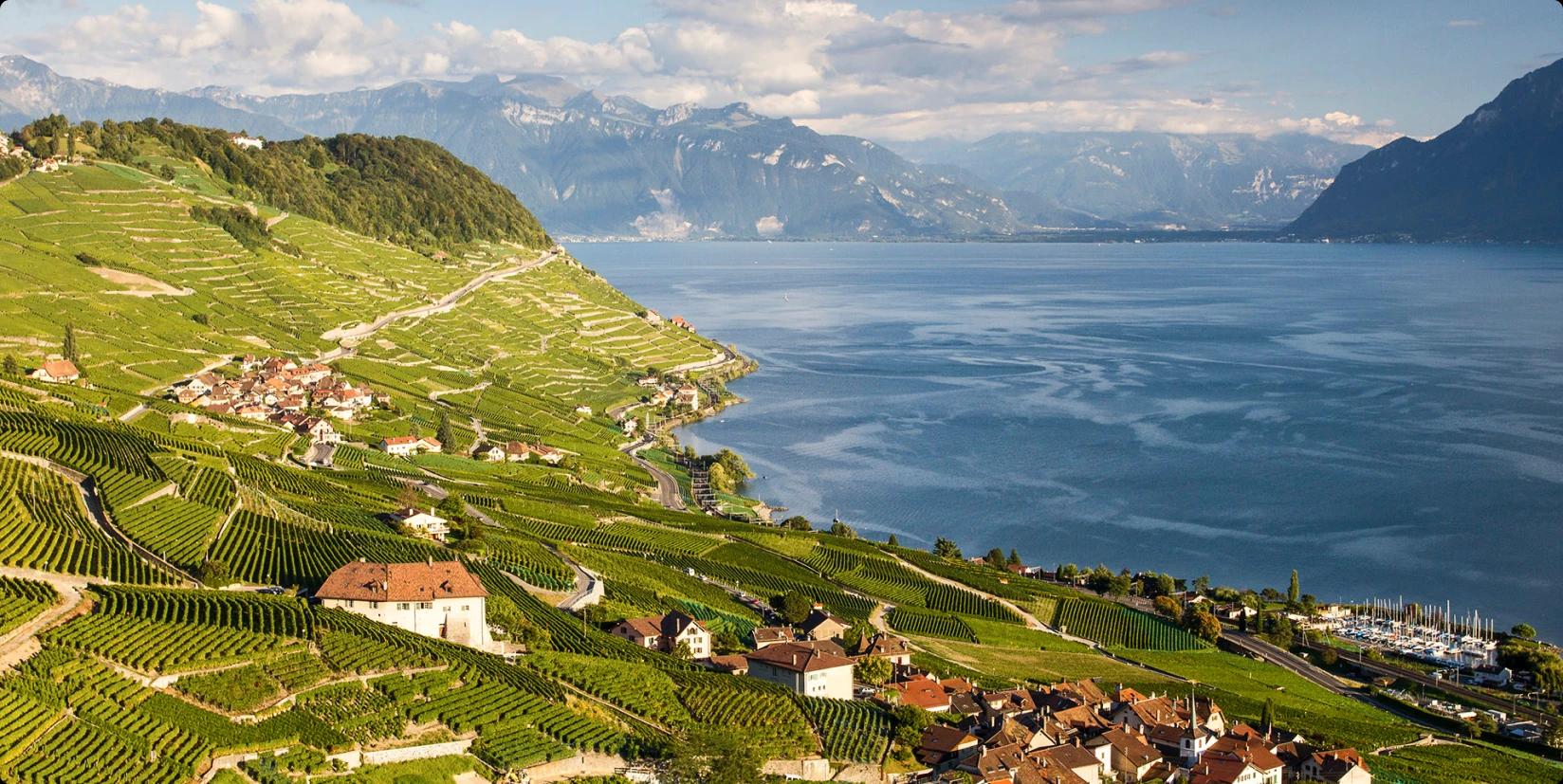 Vue sur les vignes de Lavaux